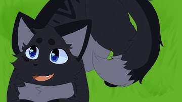 That would be enough Map part 8