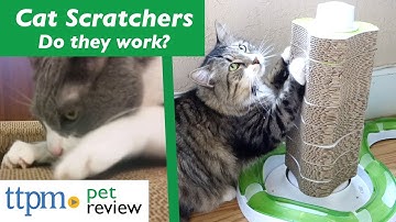 Cat Scratchers | Do They Work? | (We Tested Them All)