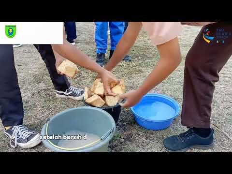 Cara Membuat Tepung Bonggol Pisang