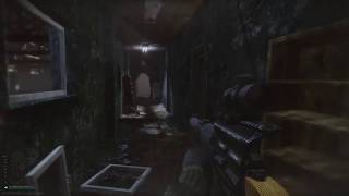 Escape From Tarkov: Grenade bug or what