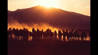 Yahowa Yahowa Yahowa Mera Asal Gothala यहव यहव यहव मर असल गठल