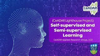Semi-Supervised and Self-Supervised Learning