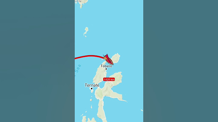 kapal rute kalimantan,sulawesi dan papua
