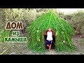 ДОМ ИЗ КАМЫША - DIY