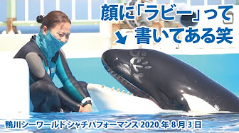 鴨川シーワールド 小松トレーナーさん