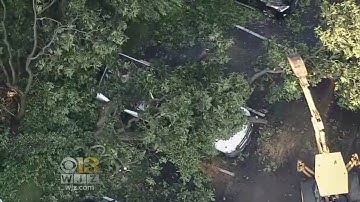 Cleanup Underway As Severe Thunderstorms Leave Path Of Destruction In Baltimore Region