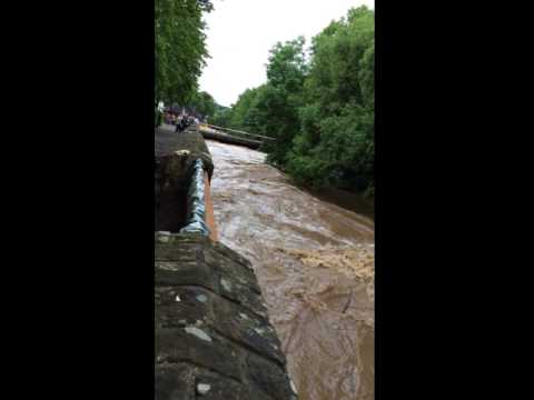 Hochwasser in Wittlich