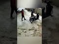 Độc lạ