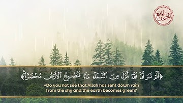 ألم تر أنّ الله أنزلَ من السماءِ ماءً فتُصبح الأرض مُخۡضَرَّةًۚ . سورة الحج الآية 63 - المصحف الجامع