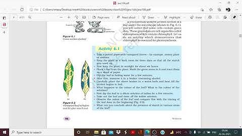 ACTIVITY 6.1 @ LIFE PROCESSES, CLASS 10, SCIENCE, CHAPTER-6