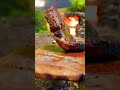 You’ve Never Seen Steak Like This 🥩🔥 #shorts