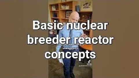 nuclear breeder reactor concepts