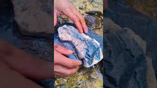 The hunt for antique stones that hold treasures.💰💰💲 #goldrush #treasuresearch #nature #rocks