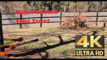 #4 Pulling Stumps With Snatch Block Pulleys and 25:1 Mechanical Advantage [4K 60FPS]