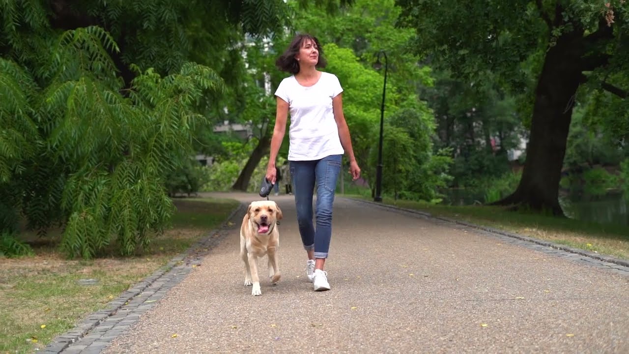 Robuste Hundeleine Aus Edelstahlkabel – 9 M Lang, Rostfrei & Kaufsicher | Für Mittelgroße Bis Große Hunde Bis 227 Kg | Mit Tragegriff