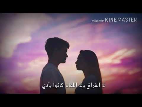 اجمل مقطع لحماقي