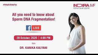 All you need to know about Sperm DNA Fragmentation!