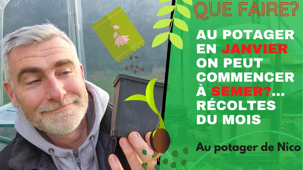 Que faire en janvier?  🌱 On démarre les semis ou pas?