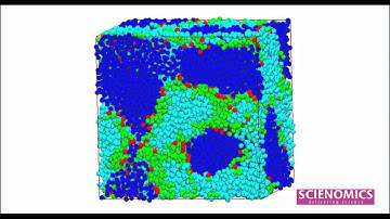 Simulation of Complex Systems with MAPS Platform