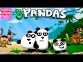 Играем в игру: 3 Pandas Панды убегают от охотников