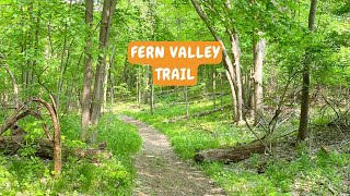 Hike in the Forest on the Fern Valley Trail in Kalamazoo, Michigan