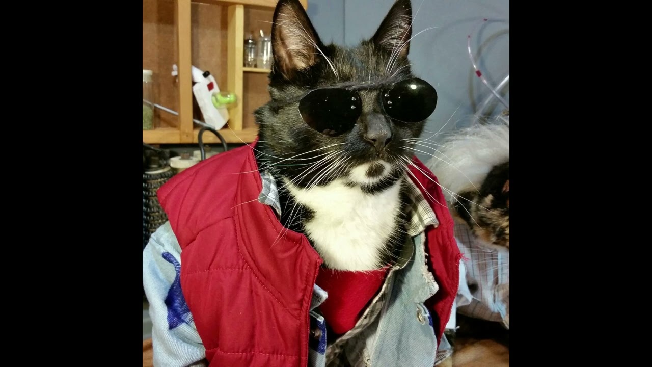 Billy Cobb - 1955 (cover)