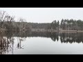 15 декабря 2025 г.