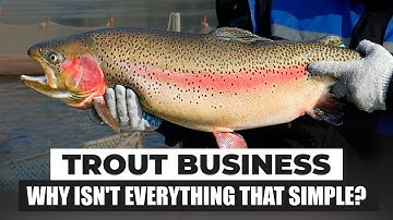 Why Trout Farms Fail: The Hidden Traps of RAS Fish Farming Explained! 🐟💥