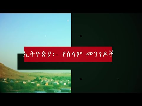 ቪዲዮ: ከባሕሩ በታች የቅንጦት ሕይወት -አስደሳች የፎቶ ፕሮጀክት ከአንድሪያስ ፍራንክ