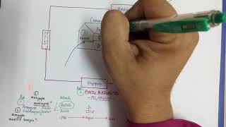 Sejarah PT3 KSSM : Bab 2 - Bab 3 Sejarah PT3 KSSM : Bab 2 - Bab 3