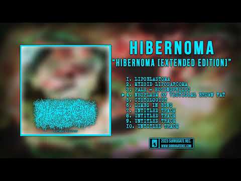Hibernoma (Extended Edition) artwork