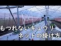 きゅうり支柱とネットの掛け方と茄子・ピーマンの灌水19/5/13＃676
