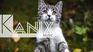 🐱 ❝Good Times❞ ➤ Vlad Gluschenko ‧‧‧ ♪ FREE MUSIC | NO COPYRIGHT MUSIC ♫