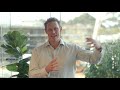 Rentvesting: Invest For Growth, Rent For Happiness | Property WOD | Ep. 264