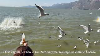 Yunnan @ Kunming - Dianchi Lake \& Dragon Gate Xishan