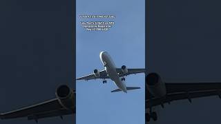 13 Feb Arrival in Mactan-Cebu Cebu Pacific 5J 567 from MNL Operated by Bulgaria Air Reg: LZ-FBK A320