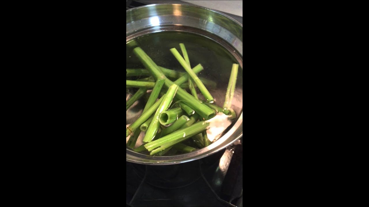 イタドリの下処理をするガーデンドクター柴ちゃん Youtube