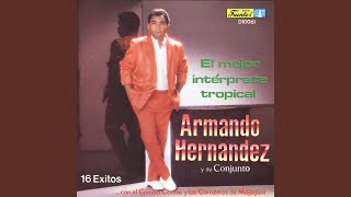 Video thumbnail of "Armando Hernández - Que Voy a Hacer Sin Ti"