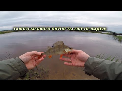 Микроджиг и Дроп шот | Tict Ice CUBE 69f | Рыбалка на даче: окунь