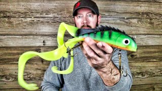 RUBBER LURE TUNING AND ALTERATIONS!!  Tips and Tricks for Using A Chaos Tackle Medussa