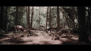 Video thumbnail of "WE CAME AS ROMANS - Fade Away (OFFICIAL MUSIC VIDEO)"