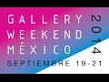 Gallery weekend mxico 2014  teaser