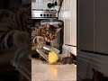 狡猾なネズミはネコの罠にかかった。#catlife #funny #orangecat#cute #cat #mouse 🐹🐱🐹#mousemurah
