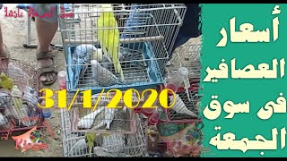 تقرير سوق العصافير وأخر أسعار طيور الزينة فى سوق الجمعة اليوم 31/1/2020