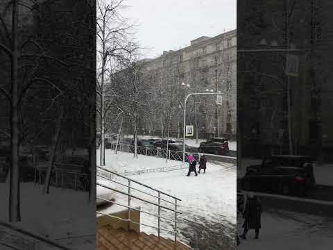 Video: Orai ir klimatas Sankt Peterburge, Floridoje