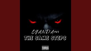 THE SAME STEPS