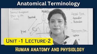 Anatomical Terminology Human Anatomy And Physiology Unit 1 B.pharm First Year Lecture -2