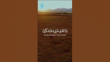 واصبر وما صبرك إلا بالله | فارس عباد | تلاوة تهز الوجدان