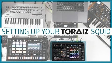 TORAIZ SQUID Tutorials Part 1 - Setting Up  | Bop DJ