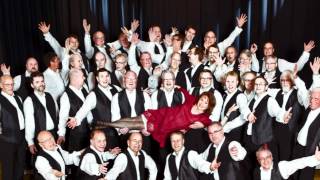 Manskören Harmoni - Caprice 2012 [HD]
